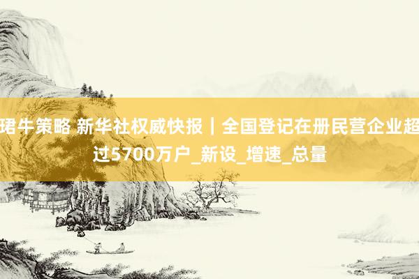 珺牛策略 新华社权威快报｜全国登记在册民营企业超过5700万户_新设_增速_总量