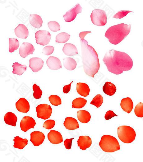 广盛网 如何抓住产业变革下的投资机会，陆家嘴金融沙龙共话股权投资新趋势