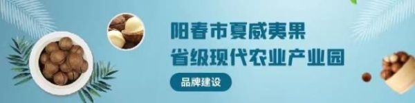 富深优配 种坚果得补贴！阳春安排140万元推动乡村绿化果树种植