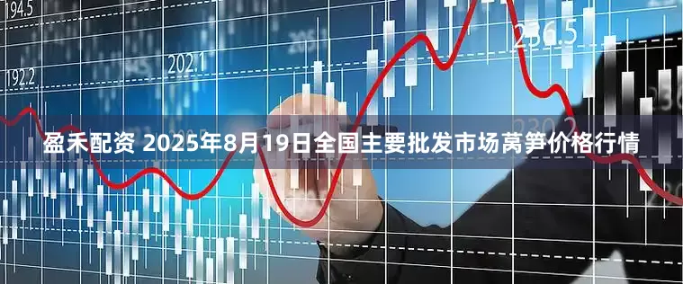 盈禾配资 2025年8月19日全国主要批发市场莴笋价格行情